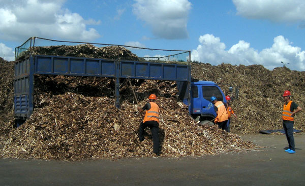 Solution to growth of new-energy firms blowing in the wind