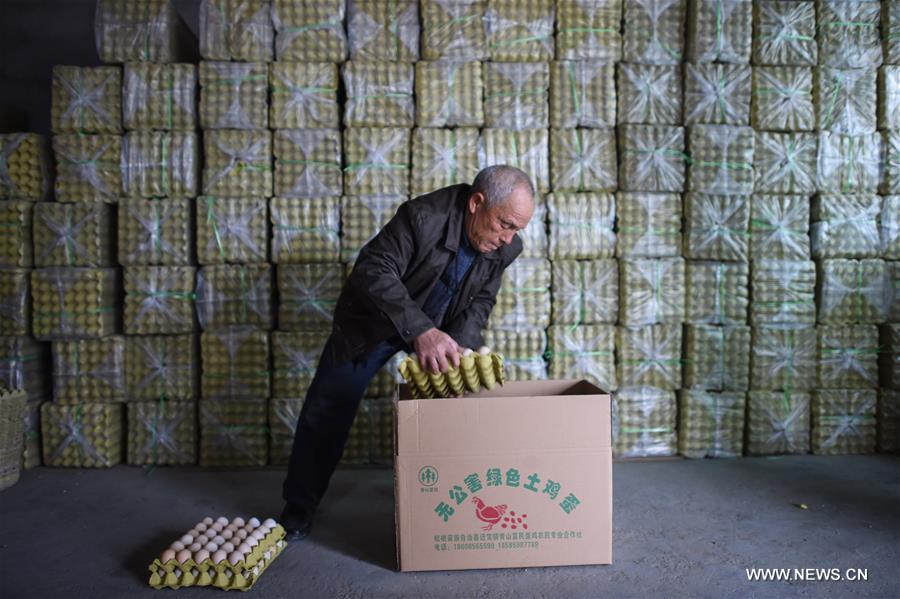 Rural e-commerce developed to promote local products in SW China