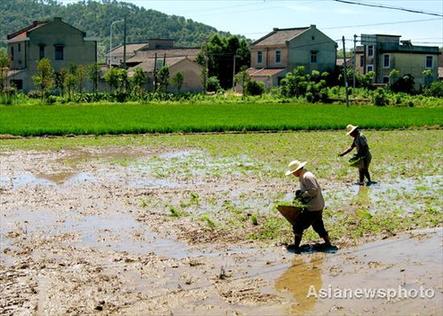 Farmers' incomes up 10% in 1st half