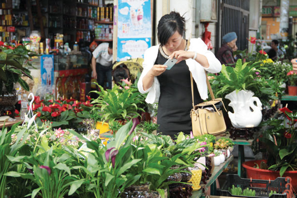 Small town grows thanks to flowers