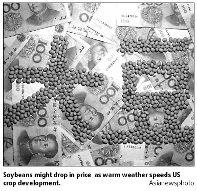 Analysts forecast soybean price drop