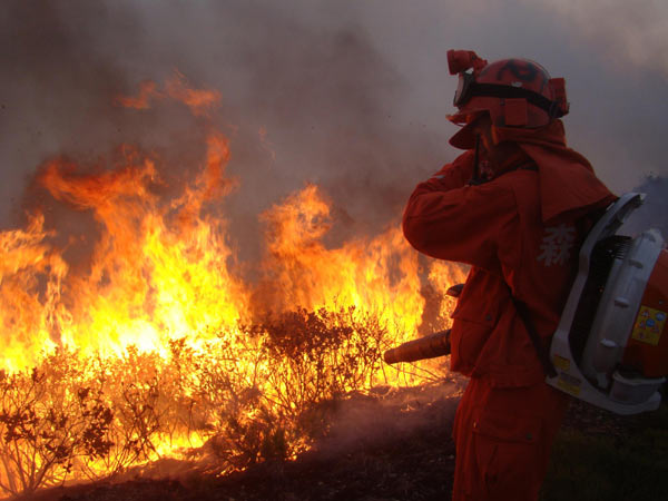 Forest fire rages in SW China province