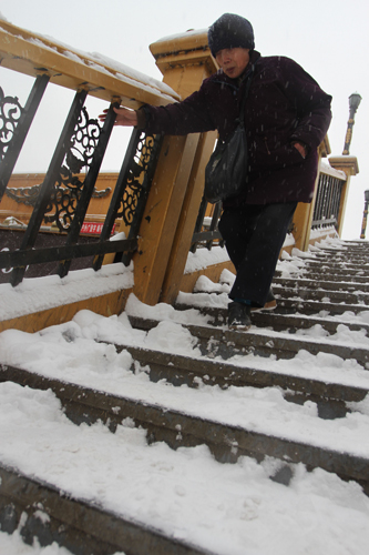 Heavy snow expected to continue in NE China