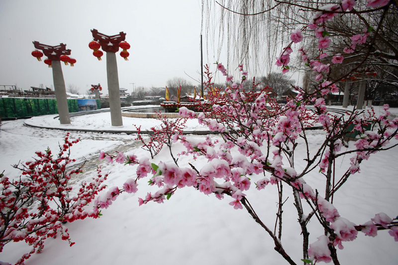 Spring snow blankets northern and eastern China