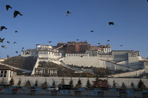 Lhasa to invest 1,000m yuan to plant trees