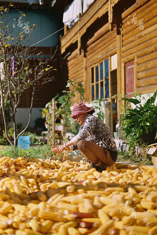 Chinese life, seen through the lens