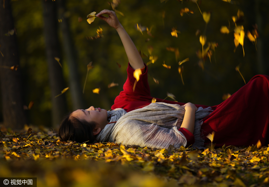 Yoga among the gingko trees