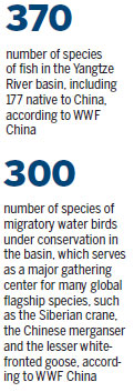 Conservation efforts boost Yangtze River wetland