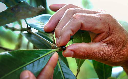 6月5日：與活態(tài)遺產處共同慶祝世界環(huán)境日