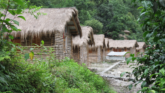 環(huán)境衛(wèi)生提升獨龍江新農村建設品質