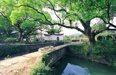 通濟(jì)堰