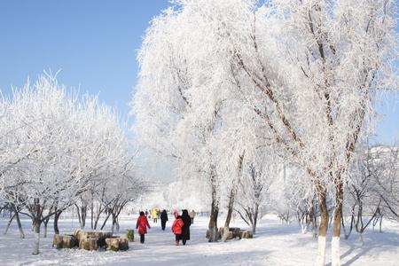 長白山:冰天雪地泡溫泉