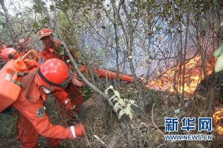 云南省玉龍縣森林大火已基本撲滅 火災(zāi)原因在調(diào)查中