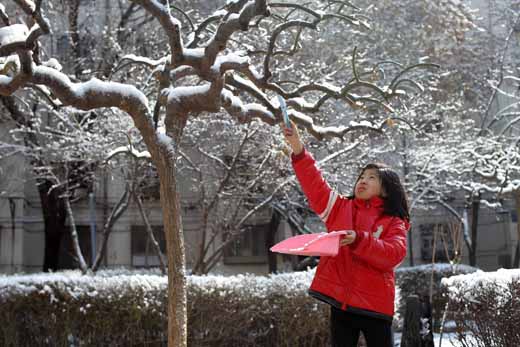 組圖：三月降春雪 素裹銀裝扮靚京城