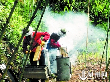 80歲的老人獨(dú)自守護(hù) 即將消逝的古老村莊(圖)