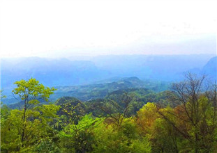 山村春景入畫(huà)來(lái)（組圖）