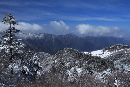 強冷空氣致神農(nóng)架驟降“桃花雪”