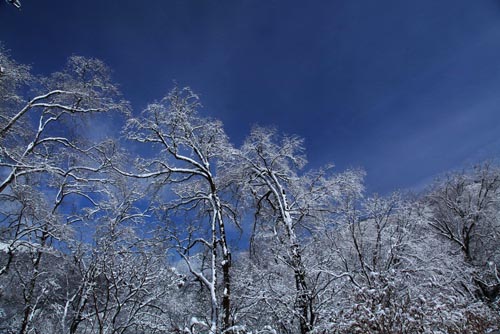 強冷空氣致神農(nóng)架驟降“桃花雪”