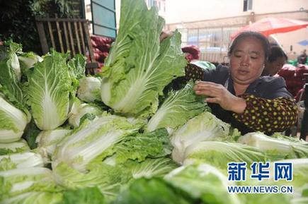 菜價猶如“過山車” 價格穩(wěn)定機制何去何從？