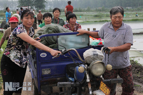 特大暴雨致贛榆農(nóng)業(yè)受到重創(chuàng)