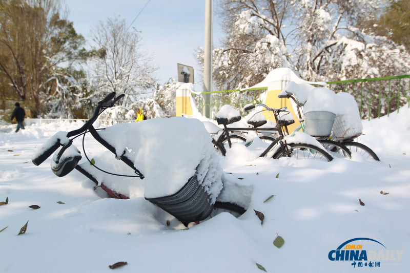 北京延慶遭遇52年來最大降雪 抗雪救災(zāi)有序進(jìn)行