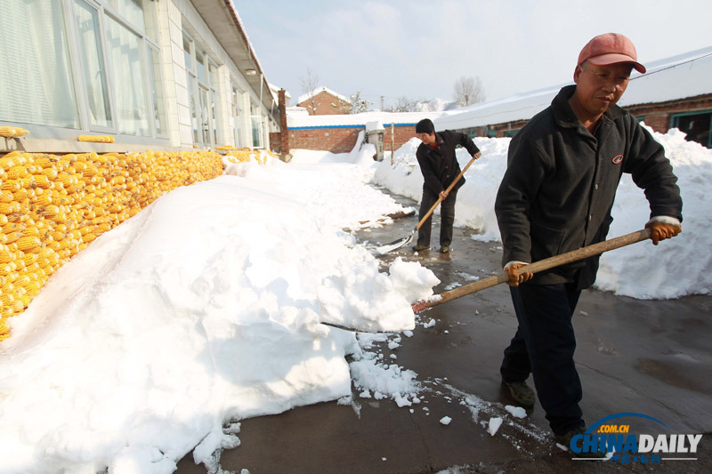 北京延慶遭遇52年來最大降雪 抗雪救災(zāi)有序進(jìn)行