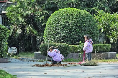 3歲雙胞胎姐妹幫清潔工奶奶掃馬路引關(guān)注 圖