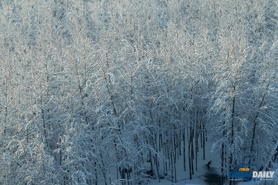 北京春分迎強(qiáng)降雪 頤和園游人“雪戰(zhàn)”