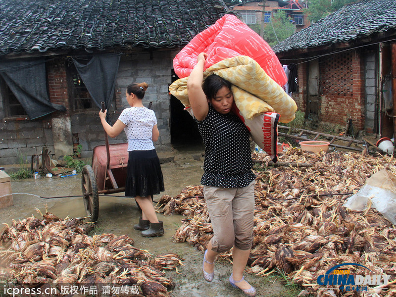 湖北鄖縣遭強(qiáng)降雨：房屋被毀雞場(chǎng)被淹 死雞尸體堆滿地