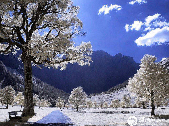 美得令人窒息的雪景(組圖)