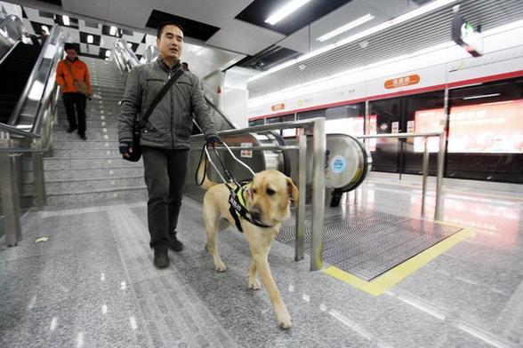 杭州導(dǎo)盲犬首次帶領(lǐng)主人乘地鐵