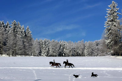 Winter scene in Germany