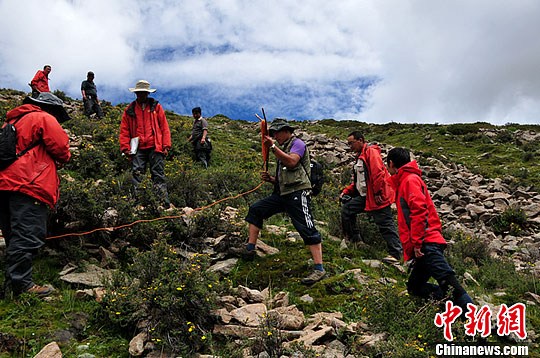 Over 3,000 medicinal herbs surveyed in Tibet