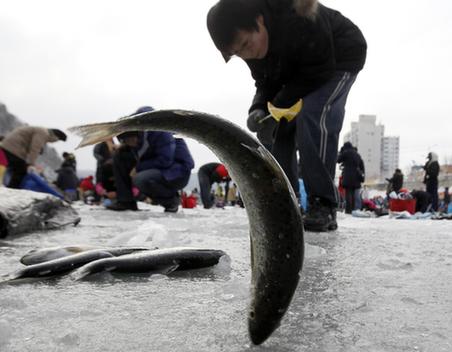 百萬韓國人參加冰上釣魚活動