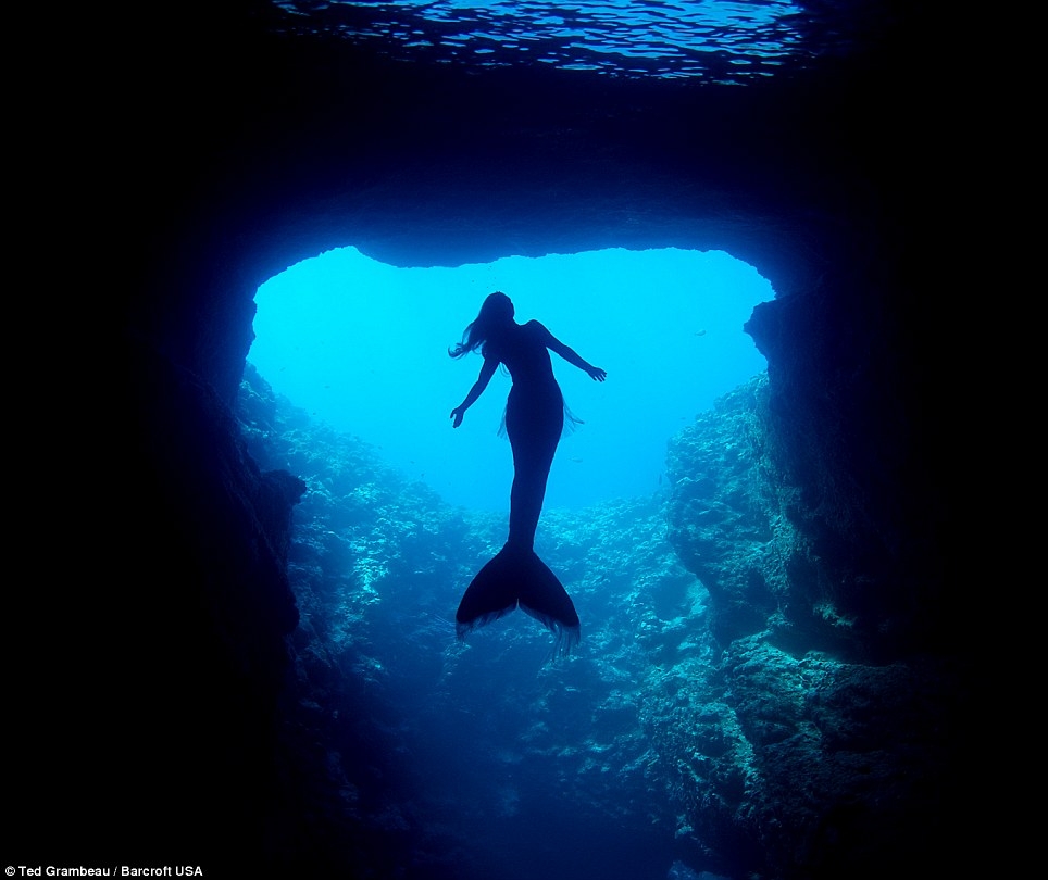 澳模特變身“美人魚” 與鯨共舞倡導(dǎo)保護(hù)海洋生物