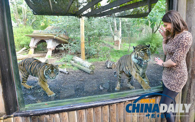 英動物園禁游客穿豹紋防動物困惑