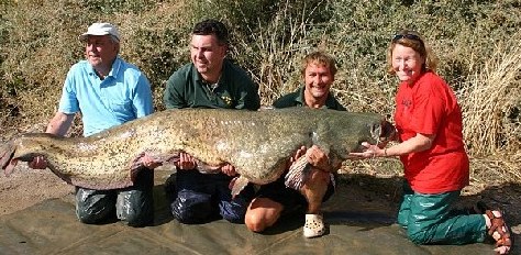 英國(guó)盲人婦女捕獲近百公斤重鯰魚 創(chuàng)兩項(xiàng)世界紀(jì)錄