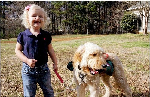 服務犬背氧氣瓶隨時陪伴 病重女孩享自由生活