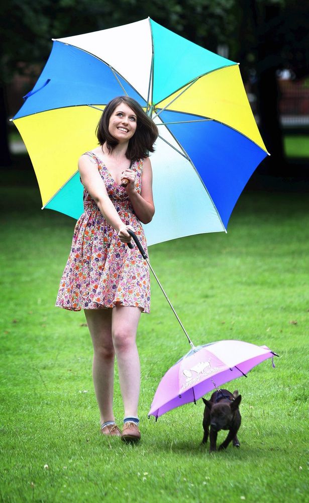 狗狗專用寵物傘在英國上市 雨天遛狗更舒心