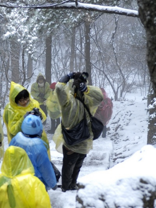 安徽黃山風景區(qū)迎降入冬首場盛雪 驚羨拍雪客