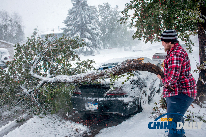 美中西部遭遇罕見暴風(fēng)雪 積雪近尺林肯像被覆