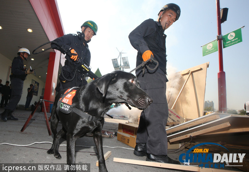 韓國舉行大型聯(lián)合反恐演習 逾500人參加