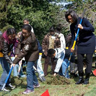 A vegetable garden grows at the White House