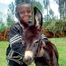 Ethiopia's low-tech, high-value transportation