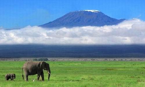 乞力馬扎羅山普通登山者激增 健康風險極大