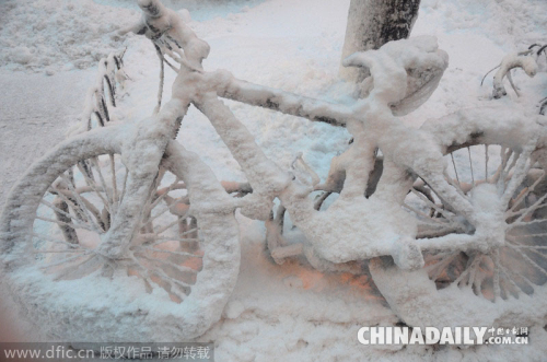 美國紐約遭遇史上最強暴風(fēng)雪