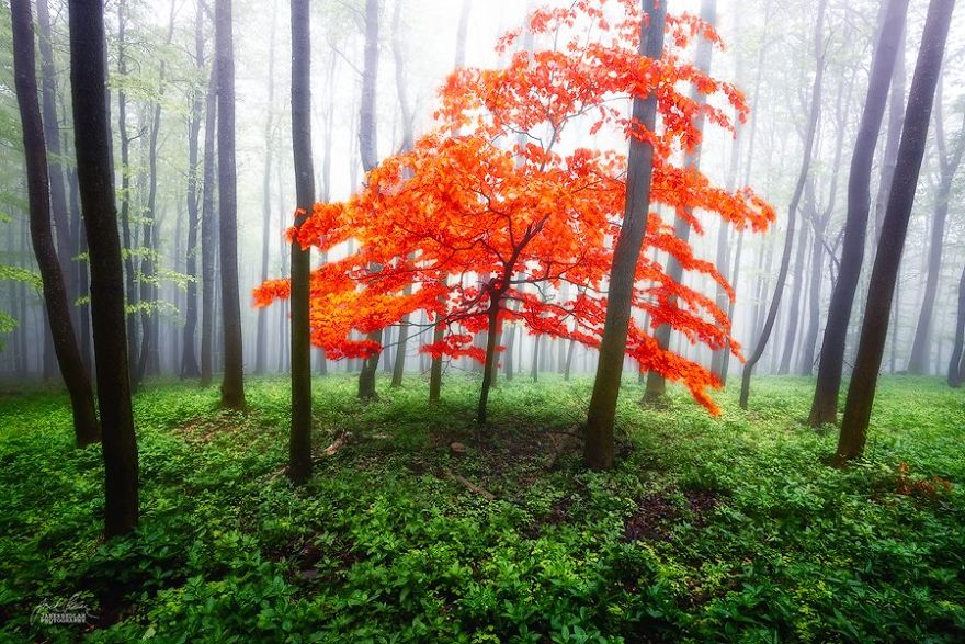 如夢(mèng)似幻的秋景美圖大賞