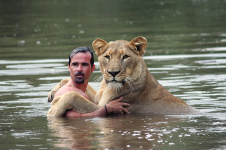 Swimming with a lion