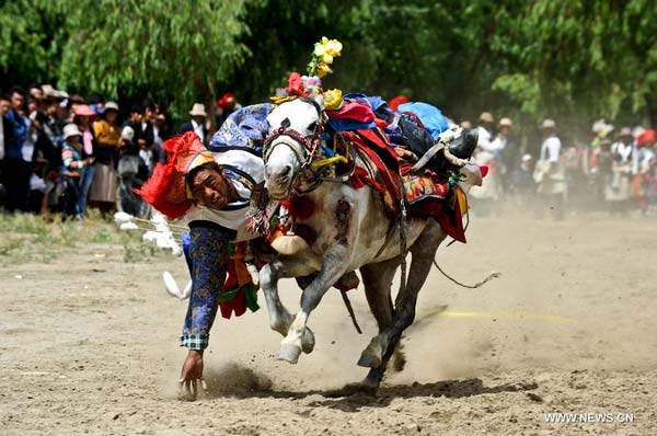 Tibetan farmers celebrate Ongkor Festival