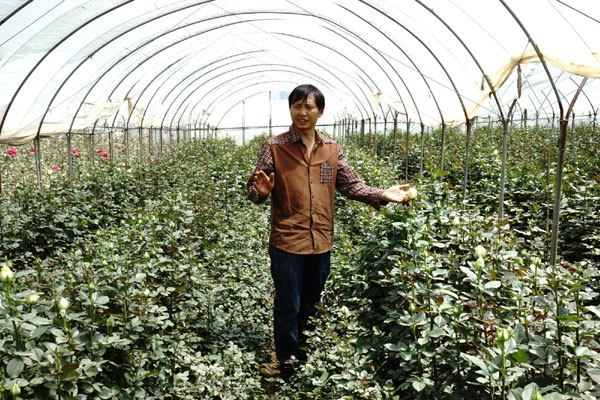 Reducing risks for Yunan's flower growers considered